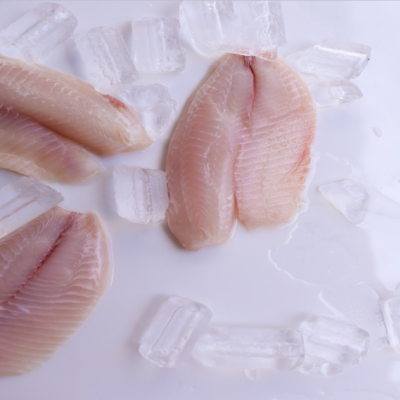 Filé de Tilápia fresco